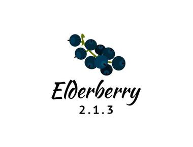 Elderberry 2.1.3 - Documentation